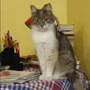 Отзыв от Эльвира Логинова